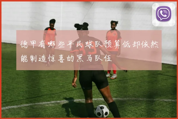 德甲有哪些平民球队预算低却依然能制造惊喜的黑马队伍