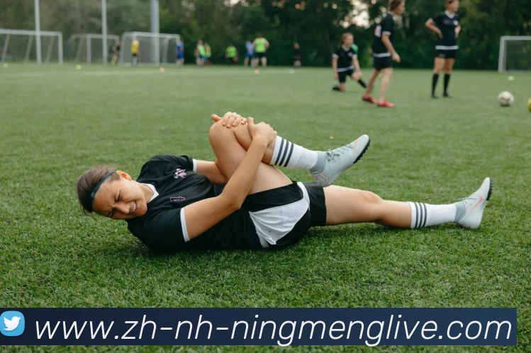 柠檬直播平台生态图