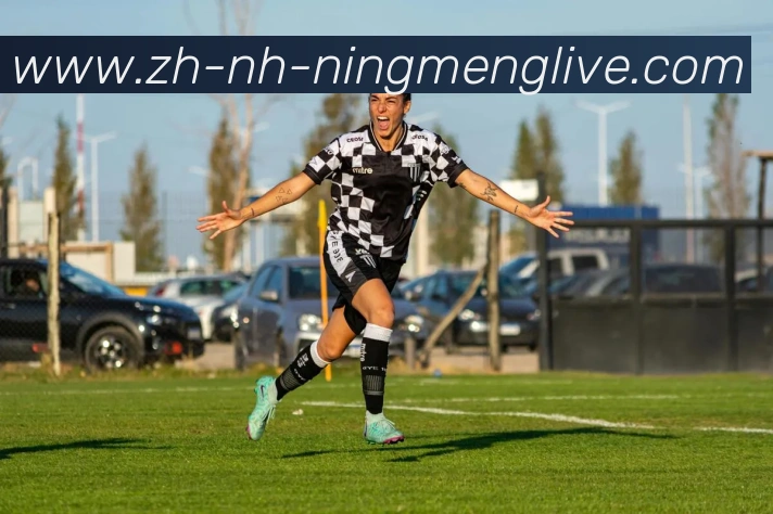 数据防护可视化